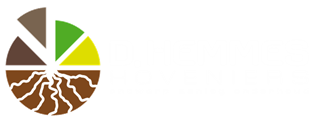 Hoveniersbedrijf D. Hemmes