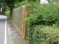 Greenwall geluidswal net geplaatst vlak langs de drukke Duinweg Bij Schoorl gemeente Bergen. Door plaatsing vlak langs de weg is de geluidsreductie optimaal Deze greenwall is 2m hoog en beplant met jonge klimop plantjes. Na enige maanden heeft de klimop de wal volledig begroeid en vormt zo een natuurlijke groene afscheiding 